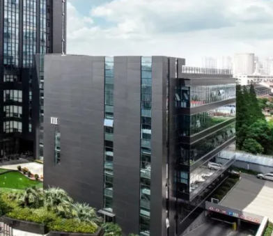 益阳市资阳区益新苗木基地：绿化苗木培育技术与栽植成活率提升要点解析