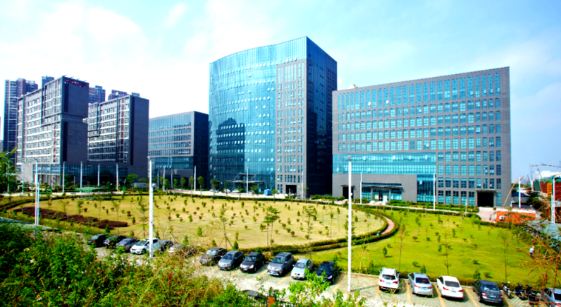 益阳市资阳区益新苗木基地：绿化苗木培育技术与成活率提升要点解析