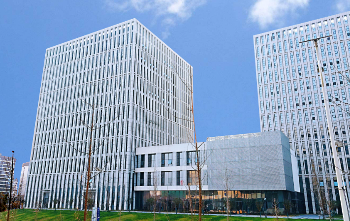 益阳市资阳区益新苗木基地：绿化苗木培育技术要点与成活率提升方案解析